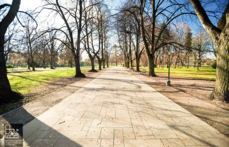 Zamość park